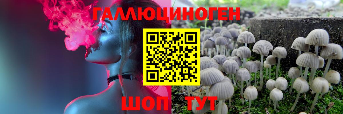 Галлюциногенные грибы мицелий Магадан